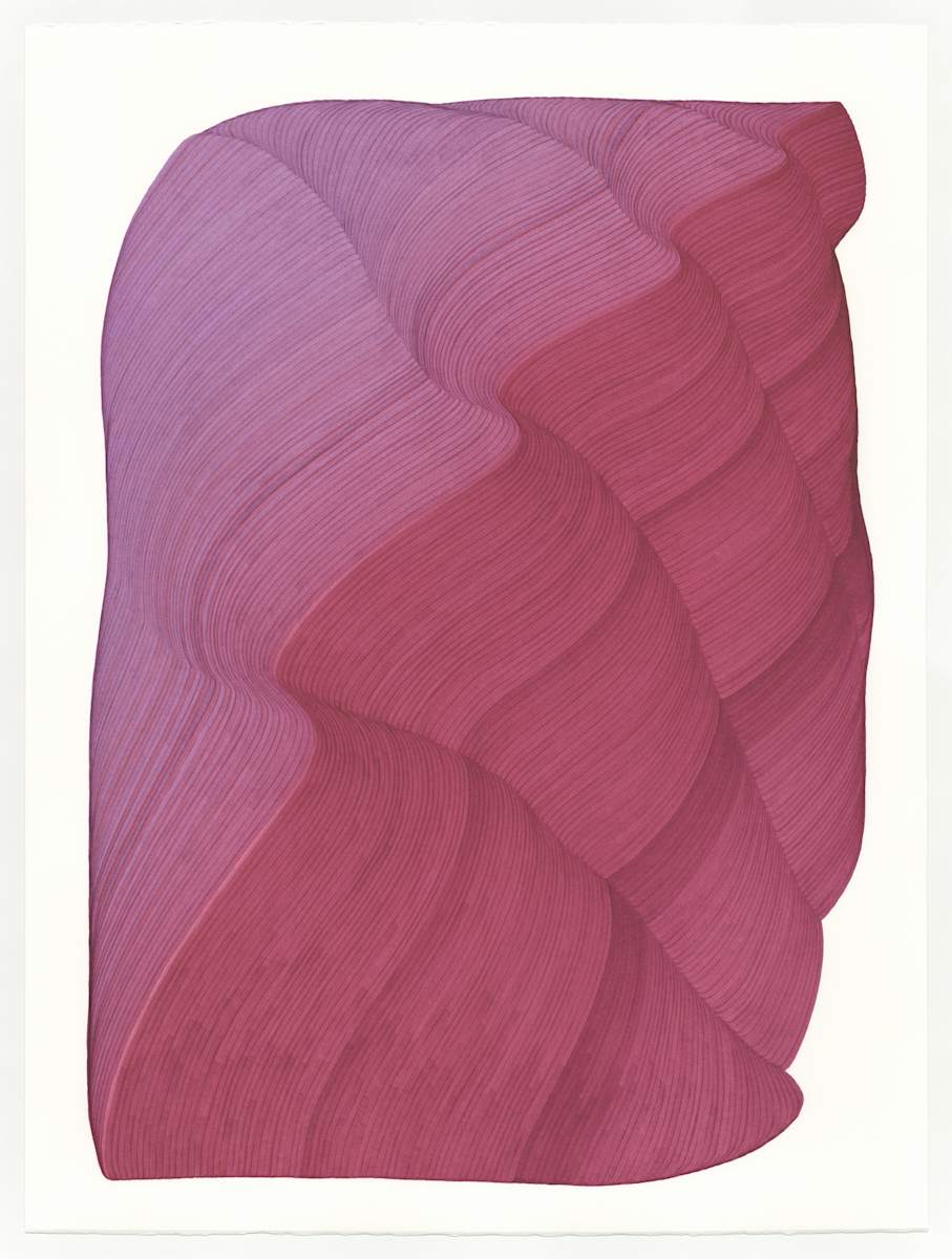 Lines 270 by Dana Piazza, Image 1.