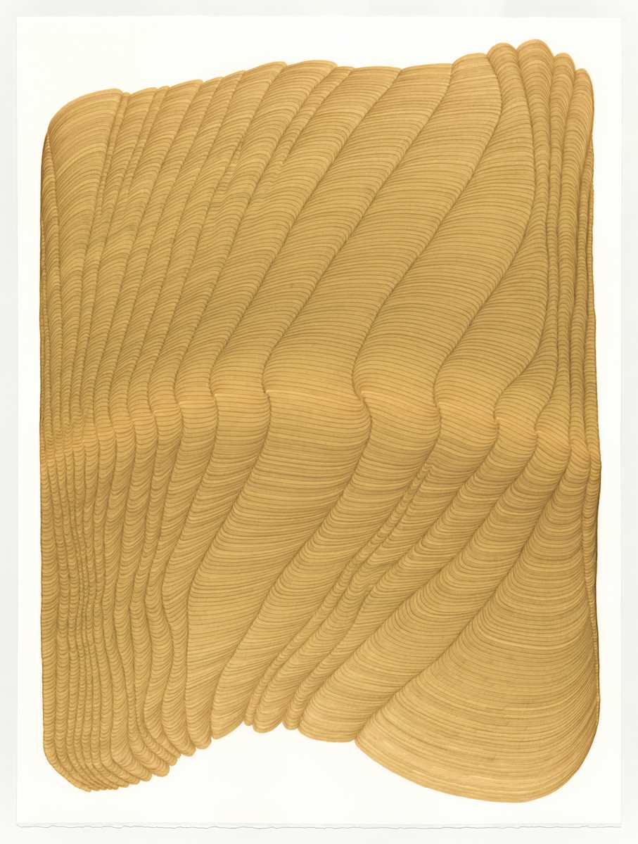 Lines 255 by Dana Piazza, Image 1.