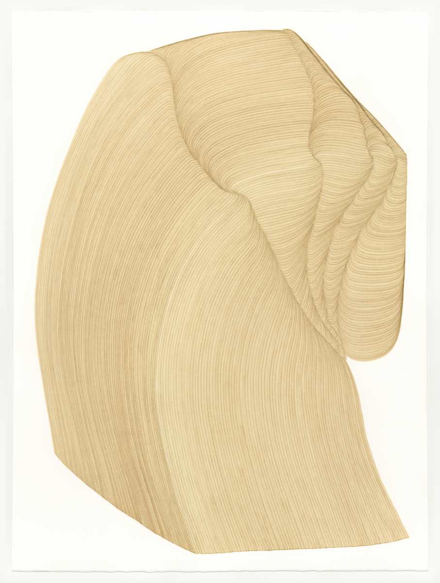 Lines 228 by Dana Piazza, Image 1.