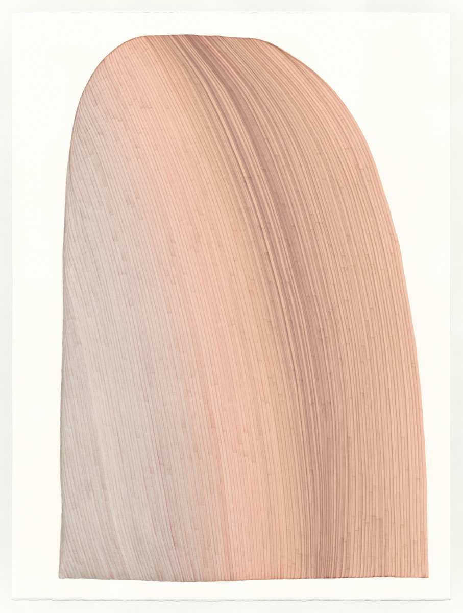 Lines 264 by Dana Piazza, Image 1.