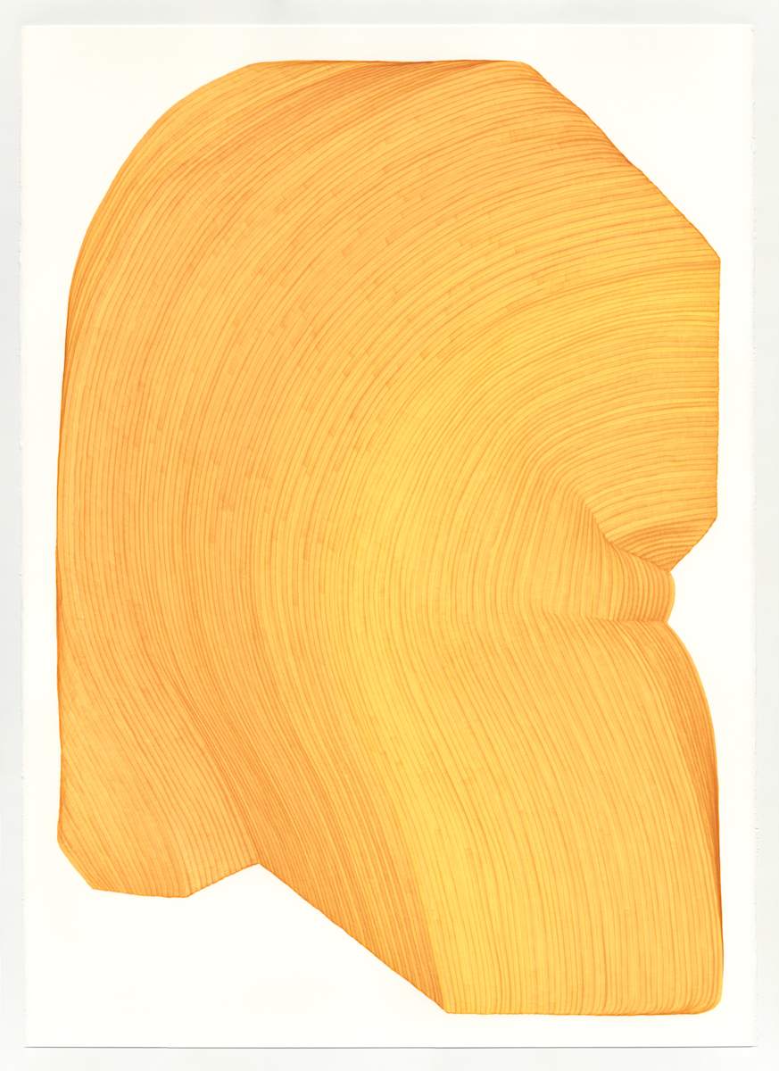 Lines 143 by Dana Piazza, Image 1.