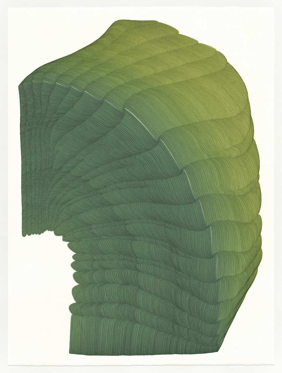 Lines 265 by Dana Piazza, Image 1.