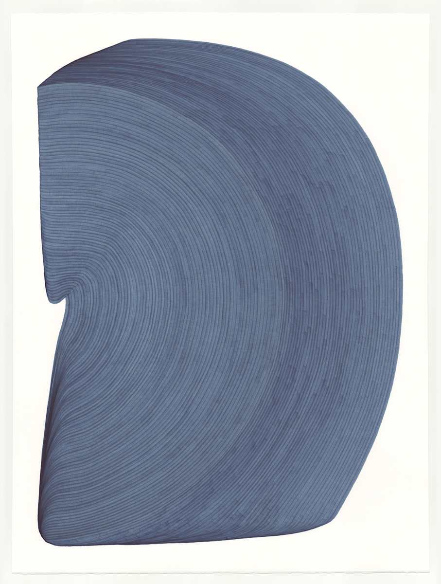 Lines 204 by Dana Piazza, Image 1.
