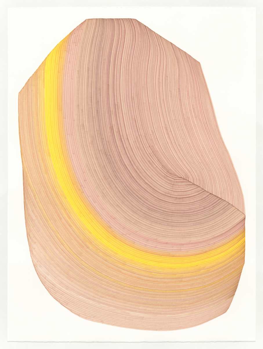 Lines 258 by Dana Piazza, Image 1.