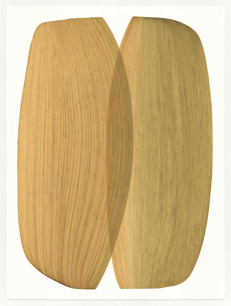 Lines 260 by Dana Piazza, Image 1.
