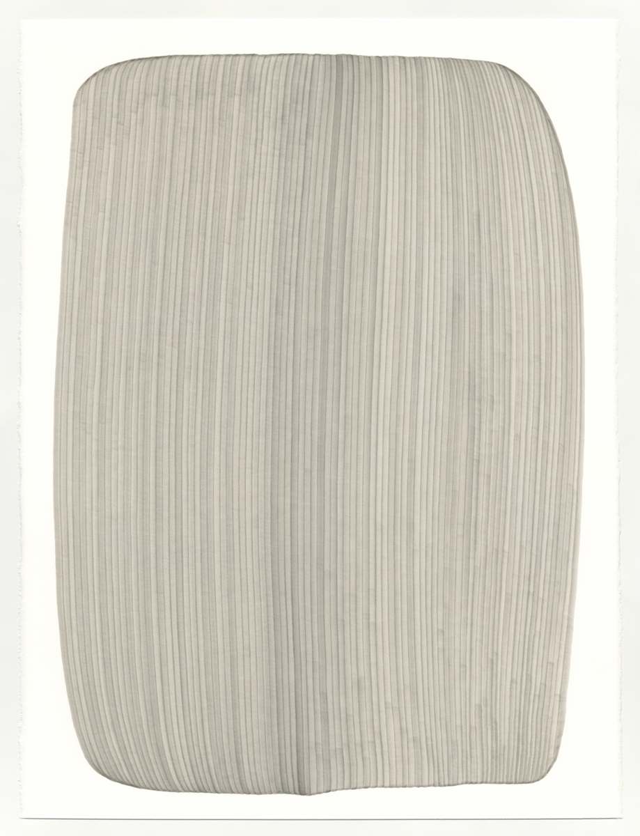 Lines 248 by Dana Piazza, Image 1.