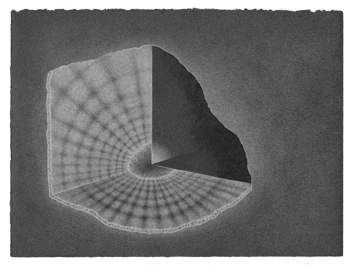 Stages of Fallot (mirror portal) by Adam Liam Rose 