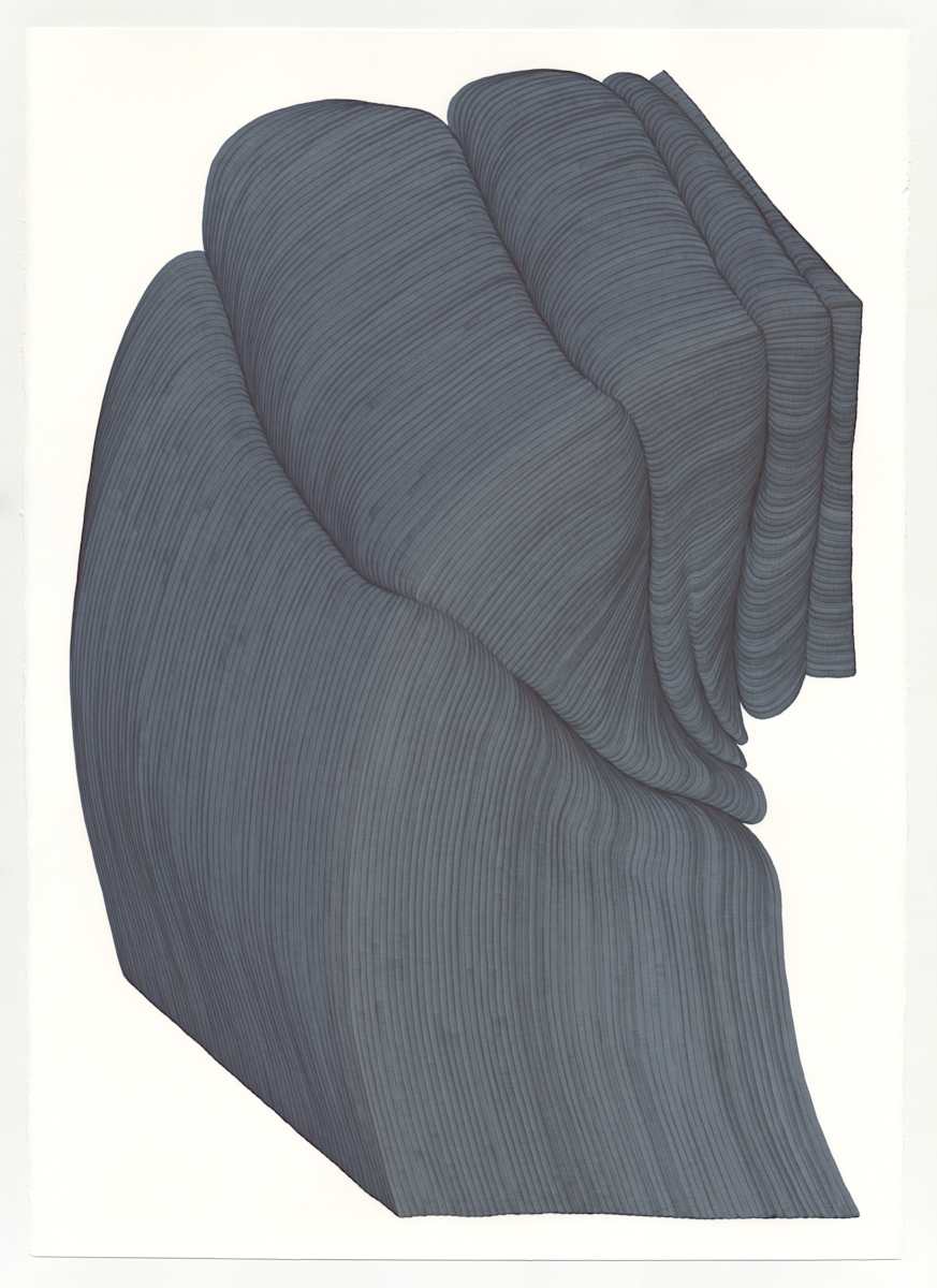 Lines 145 by Dana Piazza, Image 1.