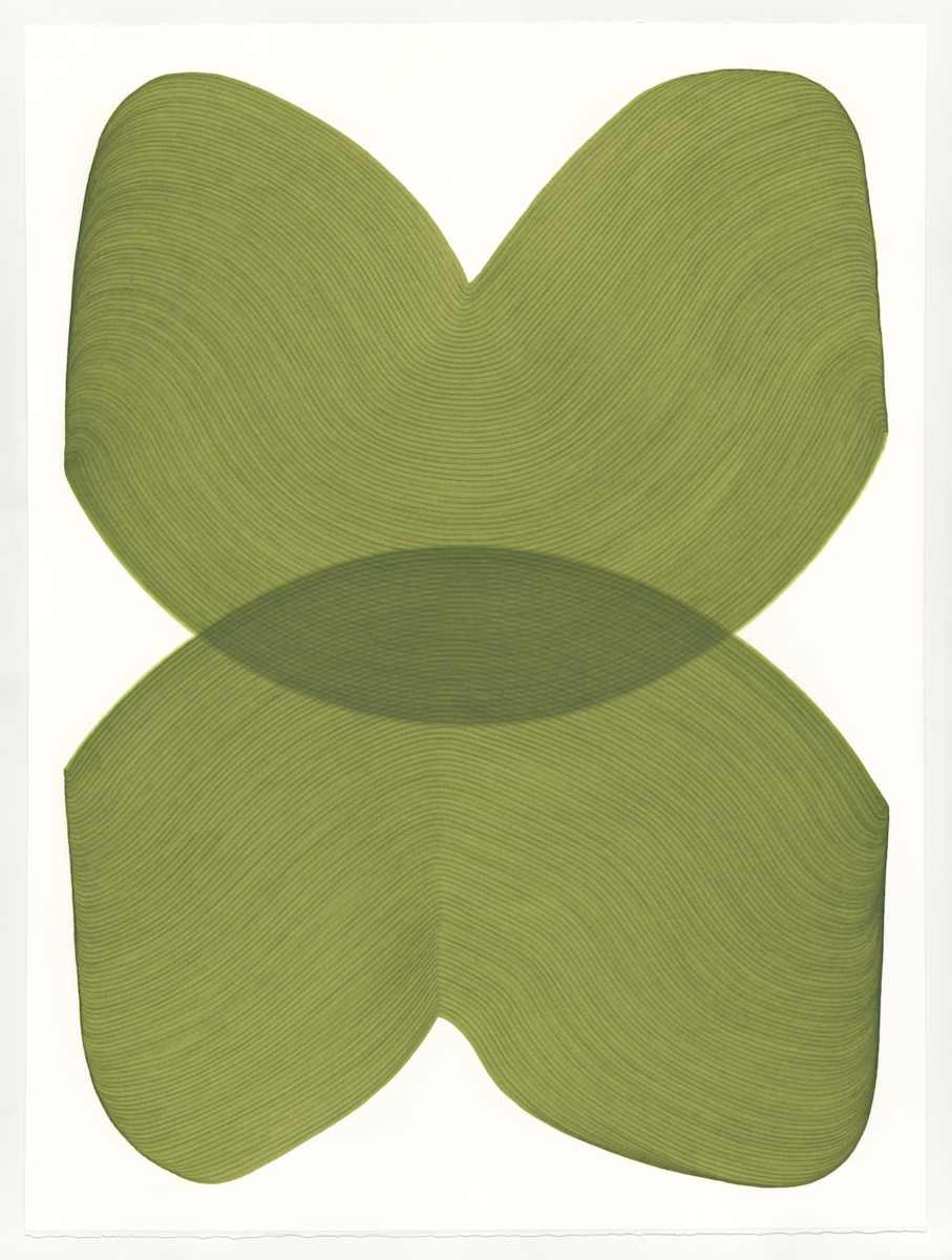 Lines 216 by Dana Piazza, Image 1.
