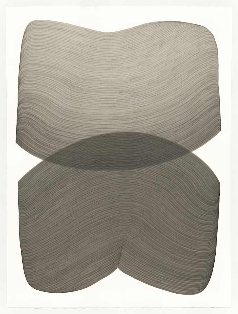 Lines 262 by Dana Piazza, Image 1.