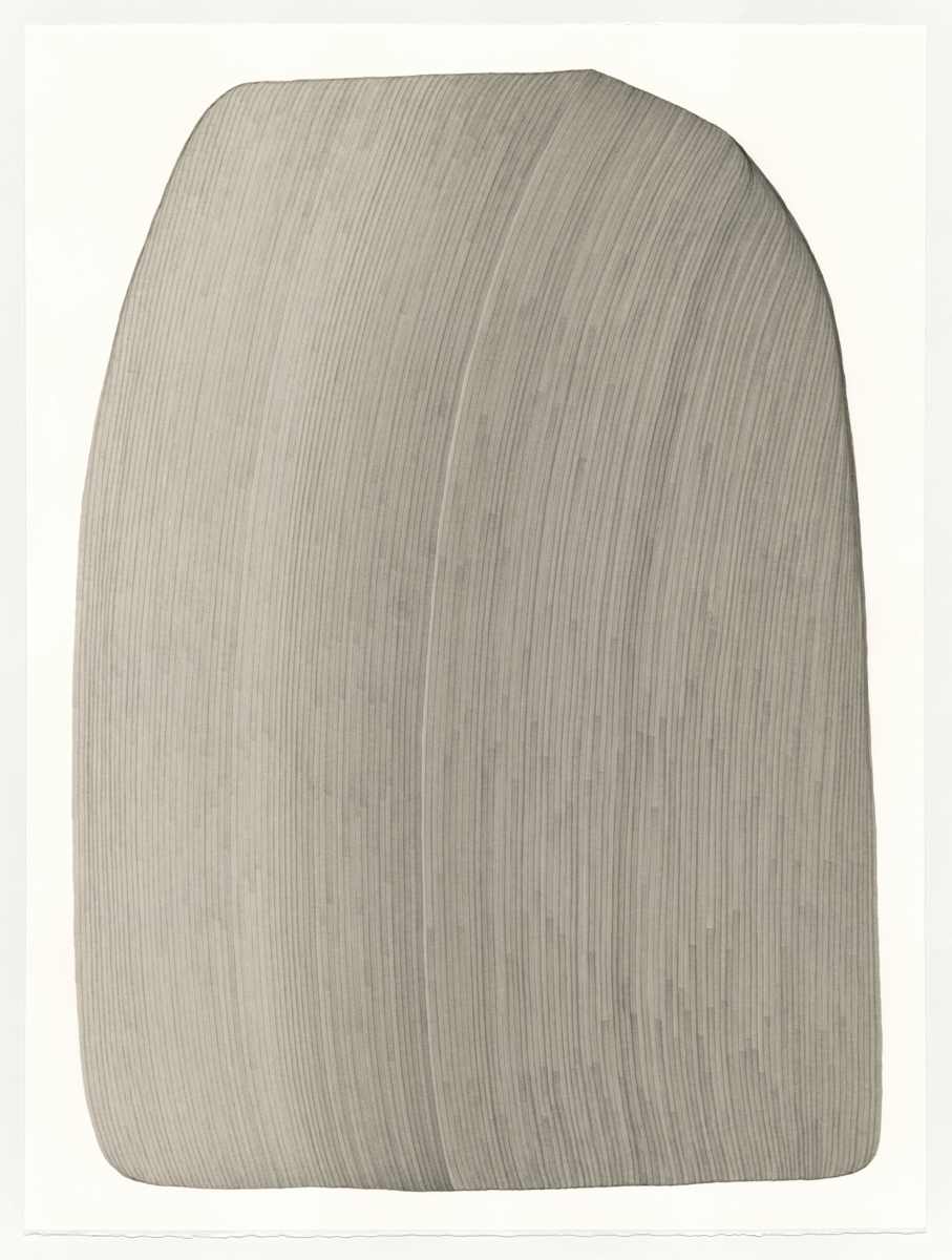 Lines 263 by Dana Piazza, Image 1.