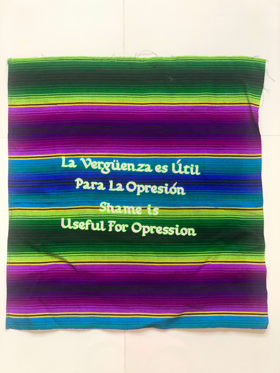 Verguenza Util by Coralina Rodriguez Meyer 