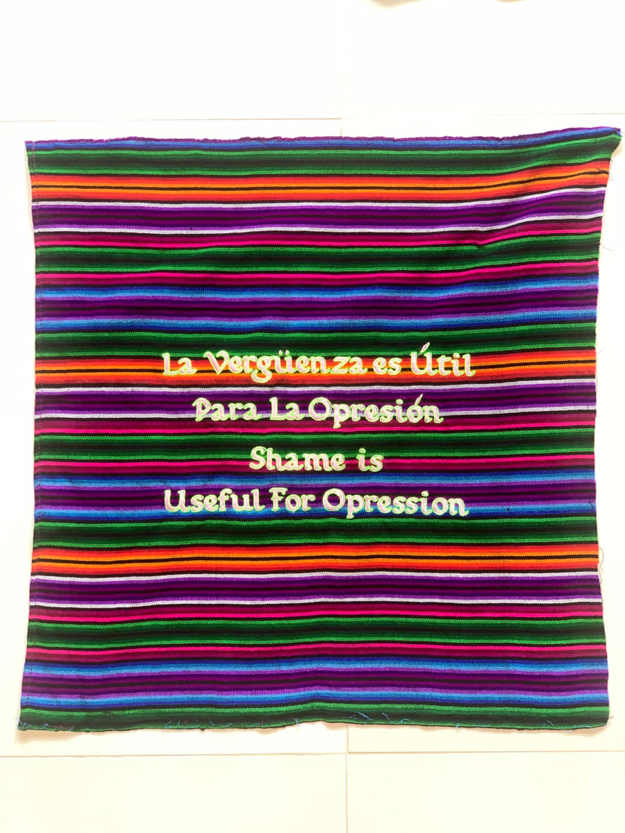 Useful Shame by Coralina Rodriguez Meyer 