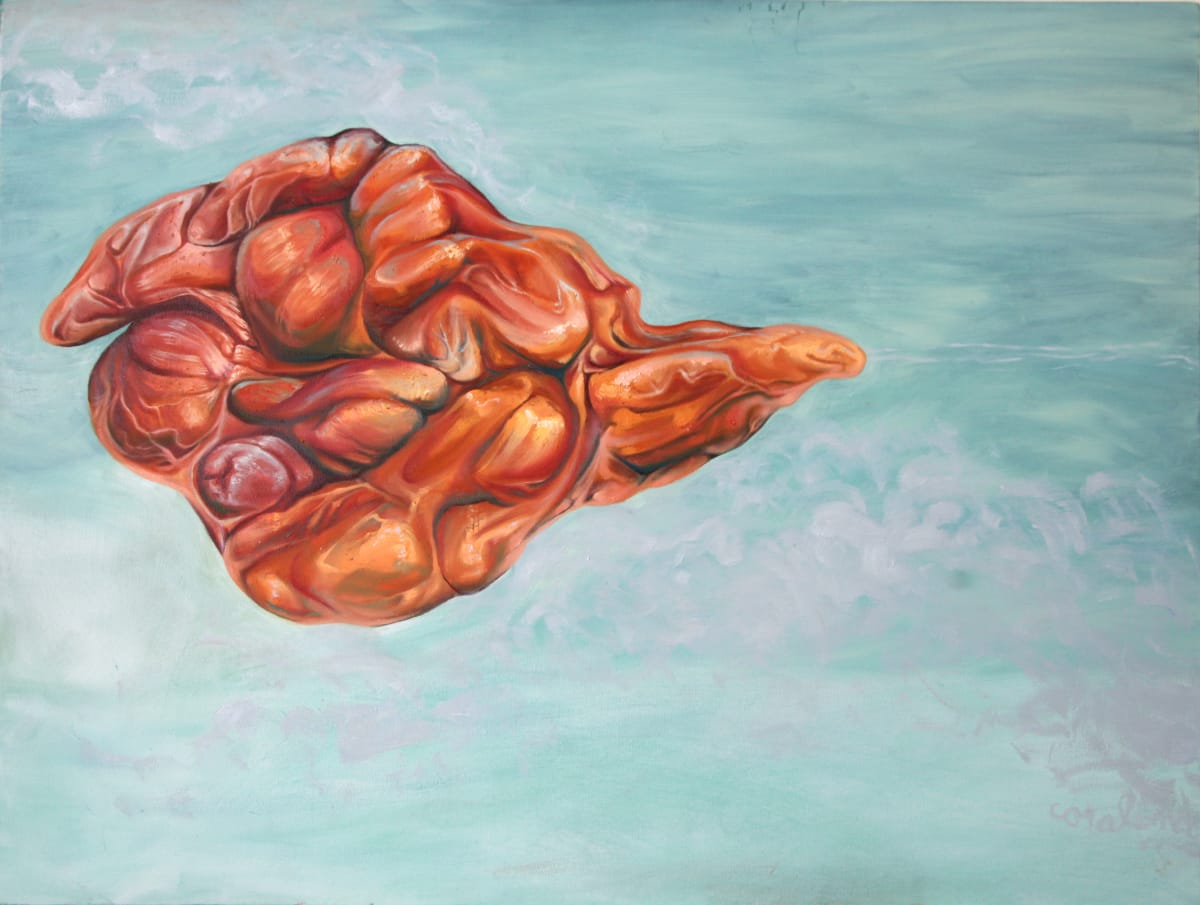 Muscle Cloud (Disorganized Body) by Coralina Rodriguez Meyer 