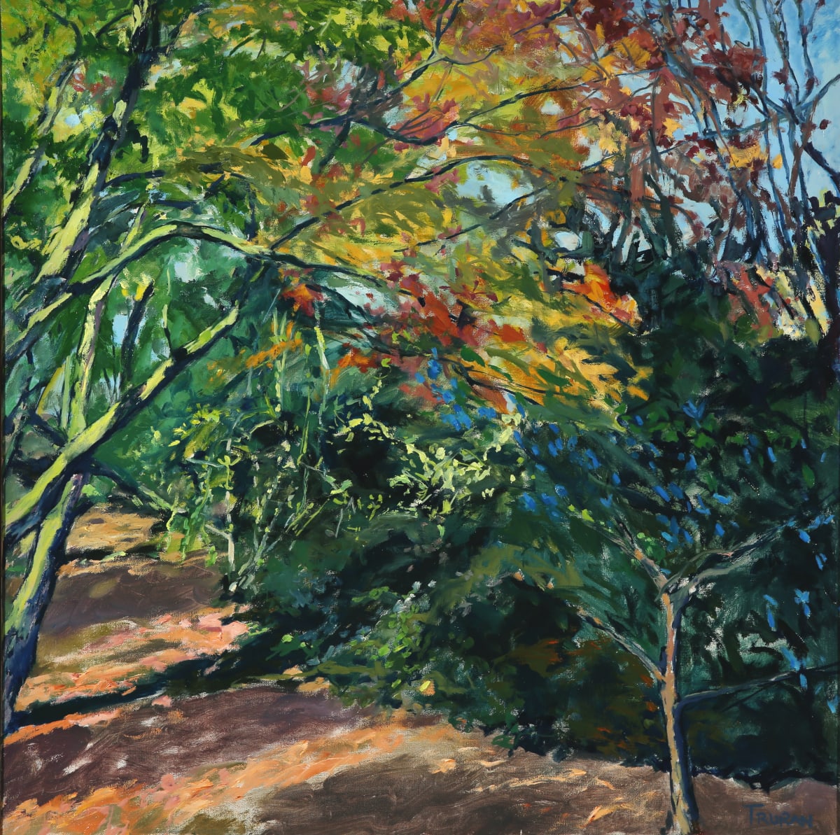 Enter here by Peter Truran 