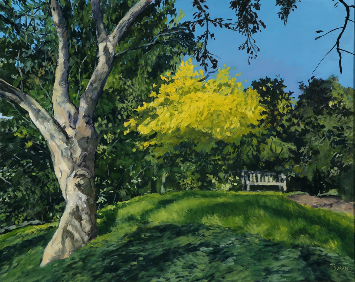 Quiet Space by Peter Truran 