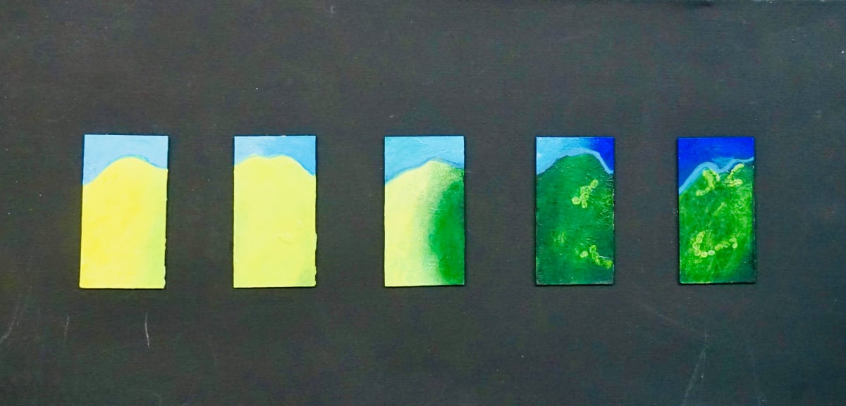Waves of change 4 by Vasu Tolia  Image: A panel of small 5  2x5" boards showing transitions of colors in sky and trees.