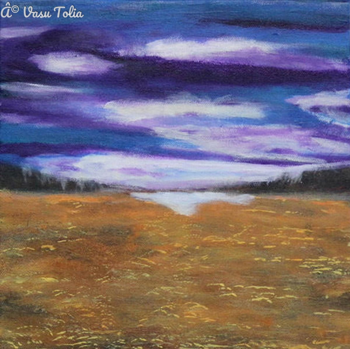 Purple sky by Vasu Tolia  Image: Thunderous sky