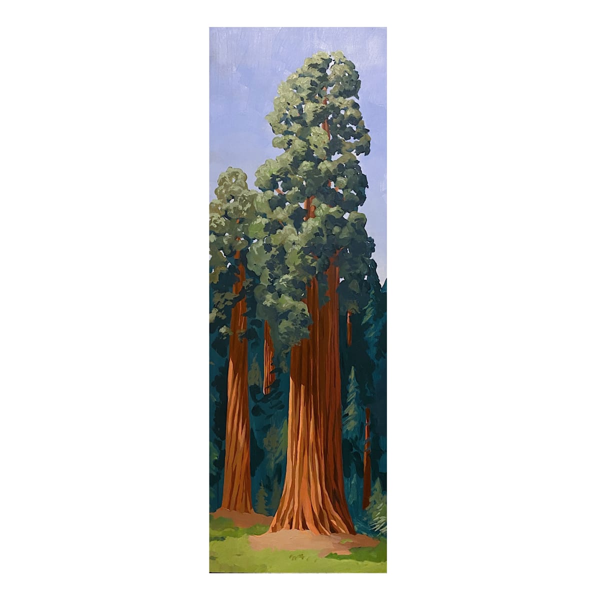 Sequoia Oil by MaryEllen Hackett 