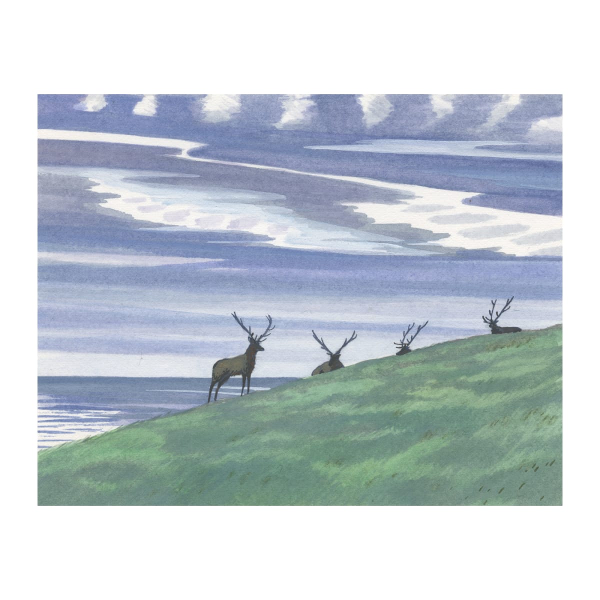 Bull Elk and The Pacific by MaryEllen Hackett 