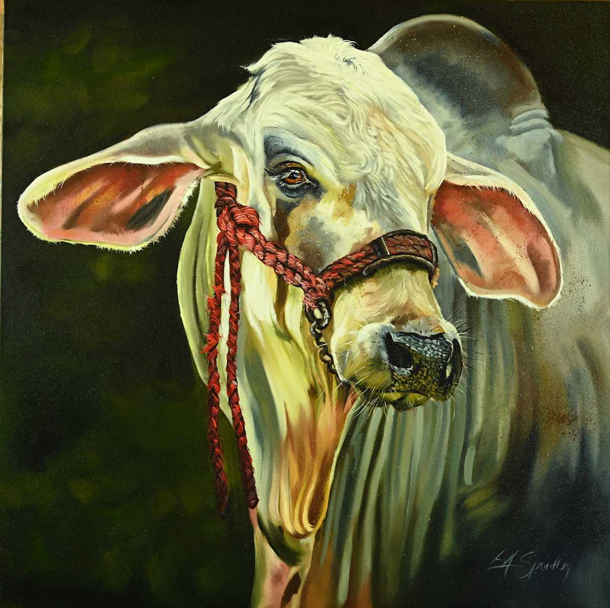 Brahma by Lori Spradley, Image 1.