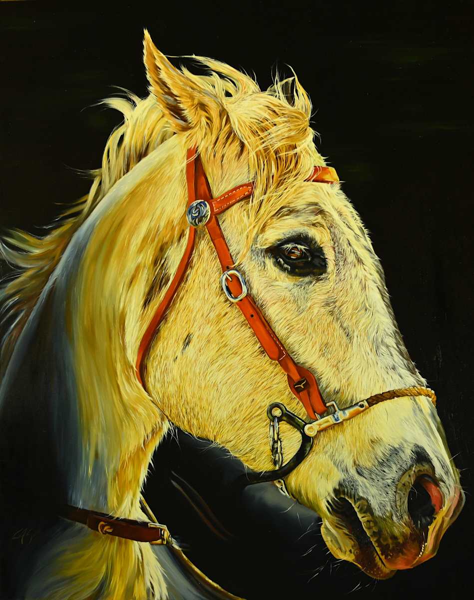 Chaos by Lori Spradley, Image 1.