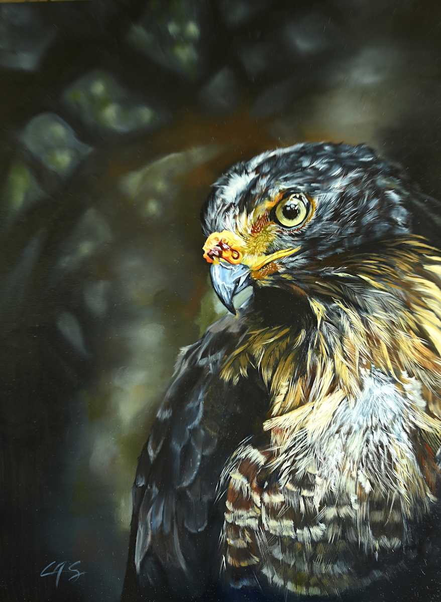 Watching by Lori Spradley, Image 1.