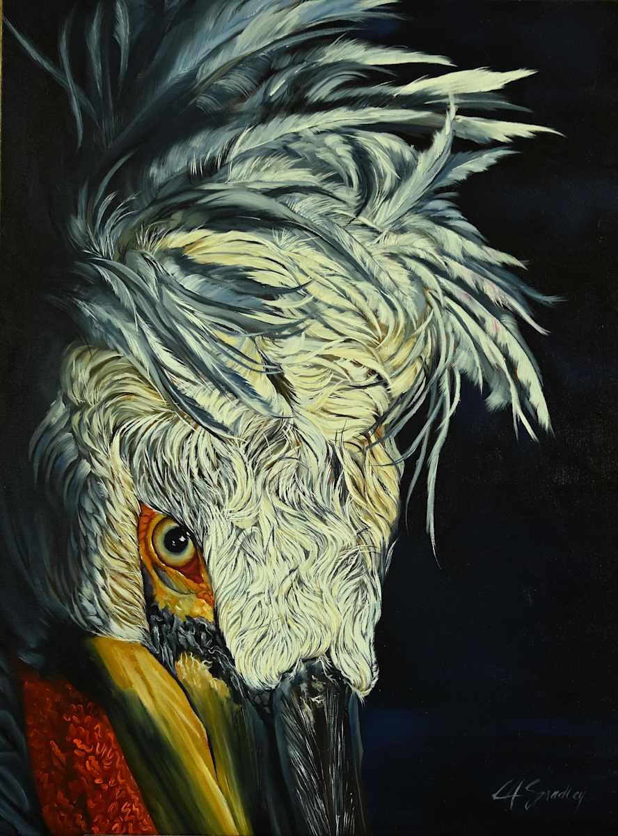 Dalmation Pelican by Lori Spradley, Image 1.