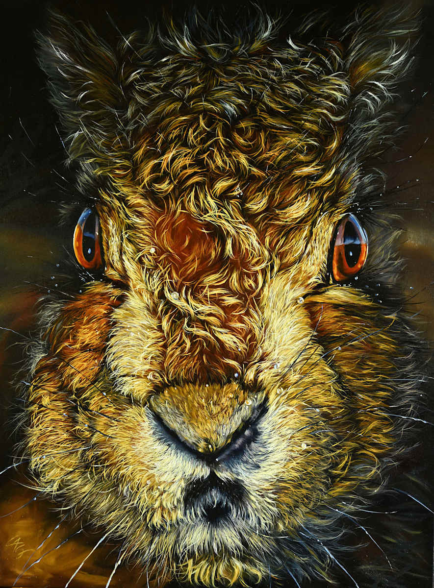 Wet Hare by Lori Spradley, Image 1.