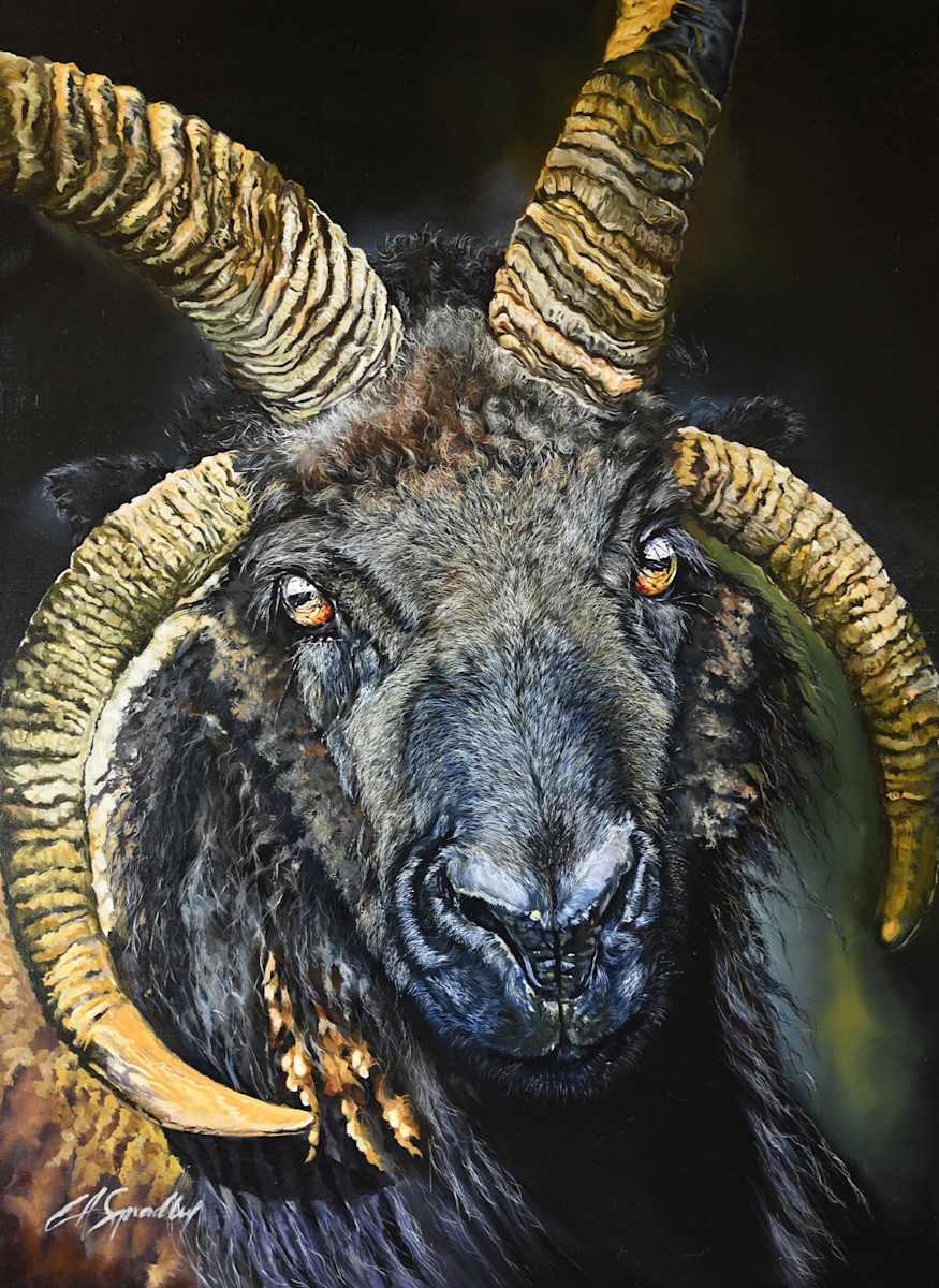 Jacob's Sheep by Lori Spradley, Image 1.