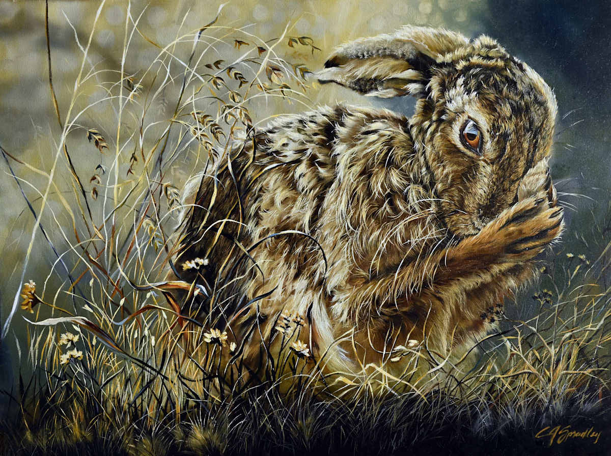 Hidden by Lori Spradley, Image 1.