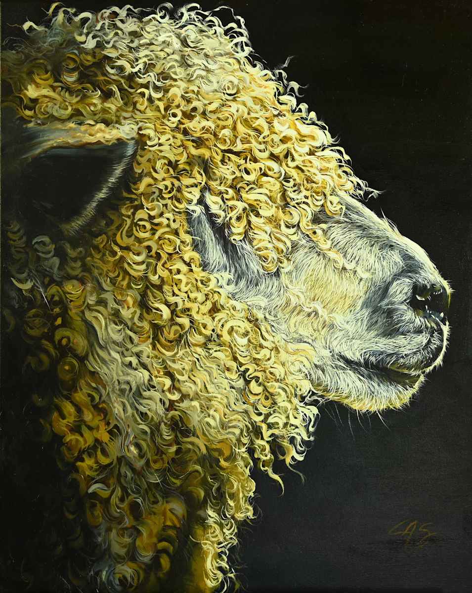 Long Wool by Lori Spradley, Image 1.