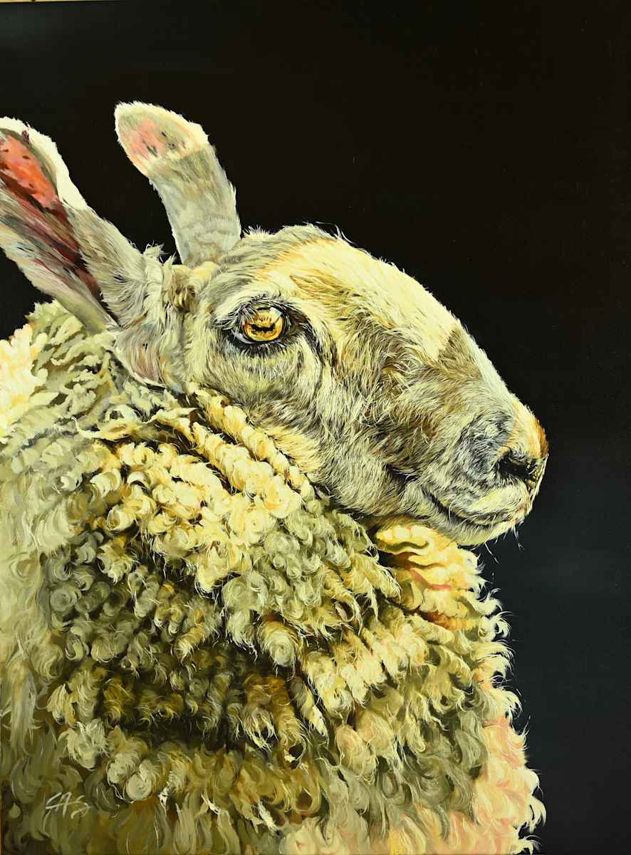 Leicester Sheep Pair _ Left by Lori Spradley, Image 1.