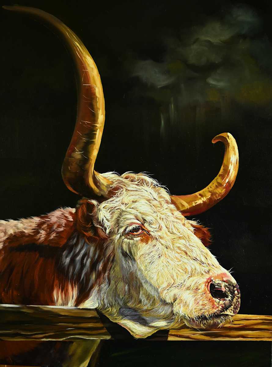 Waiting by Lori Spradley, Image 1.