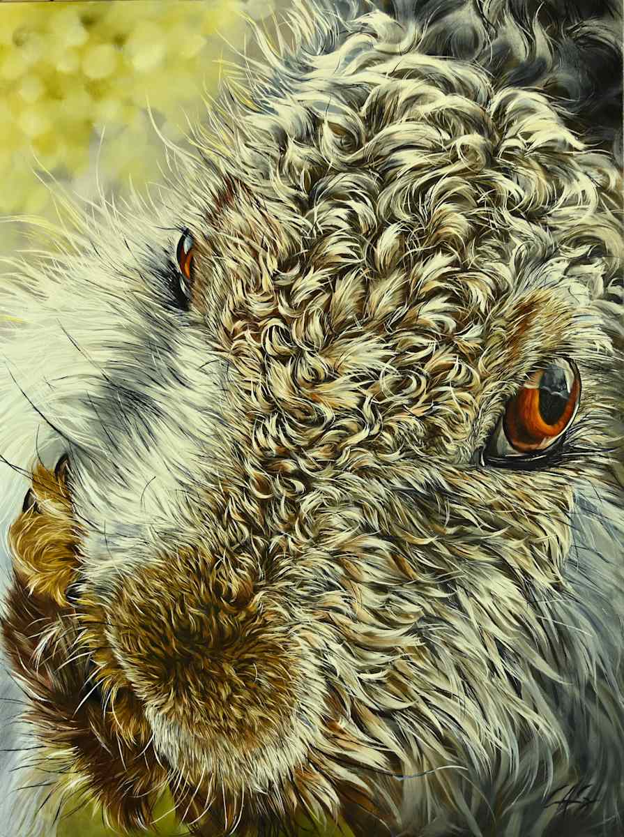 Mountain Hare by Lori Spradley, Image 1.