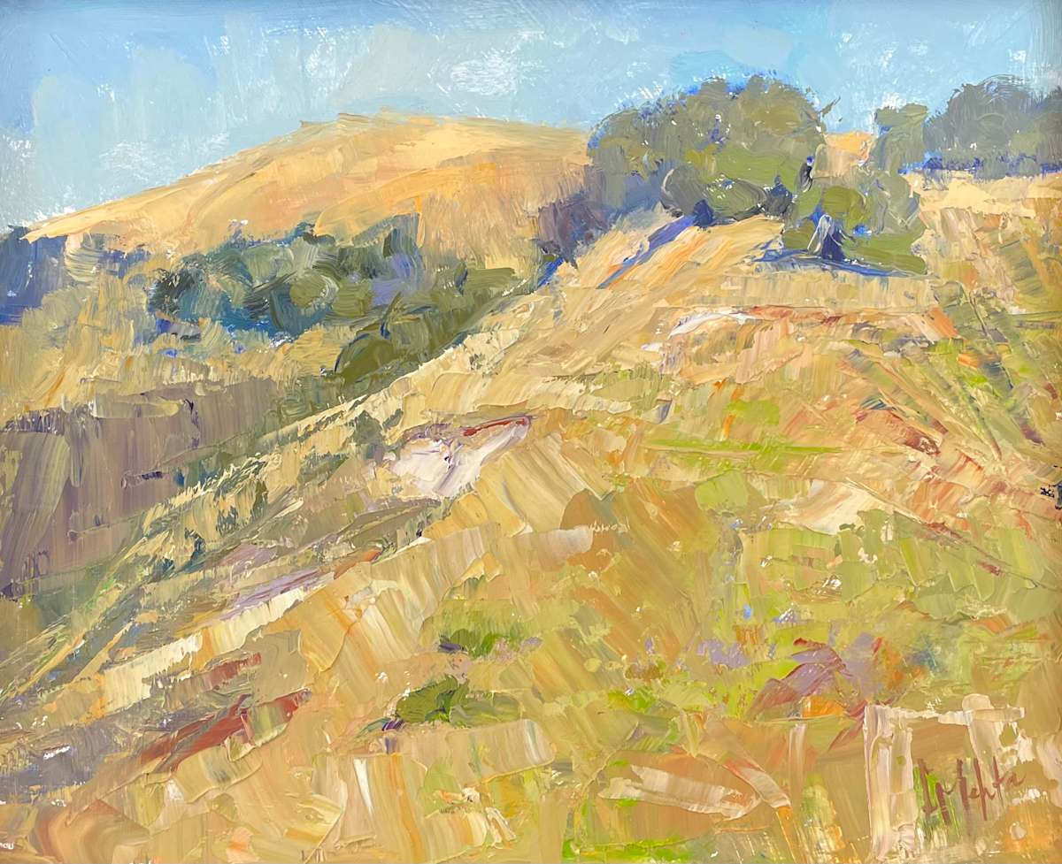 Turning Home by Lynn Mehta 