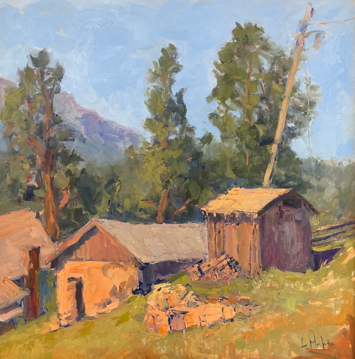 Mountain Retreat by Lynn Mehta 