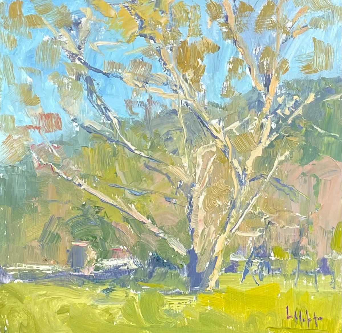Sycamore by Lynn Mehta, Image 1.