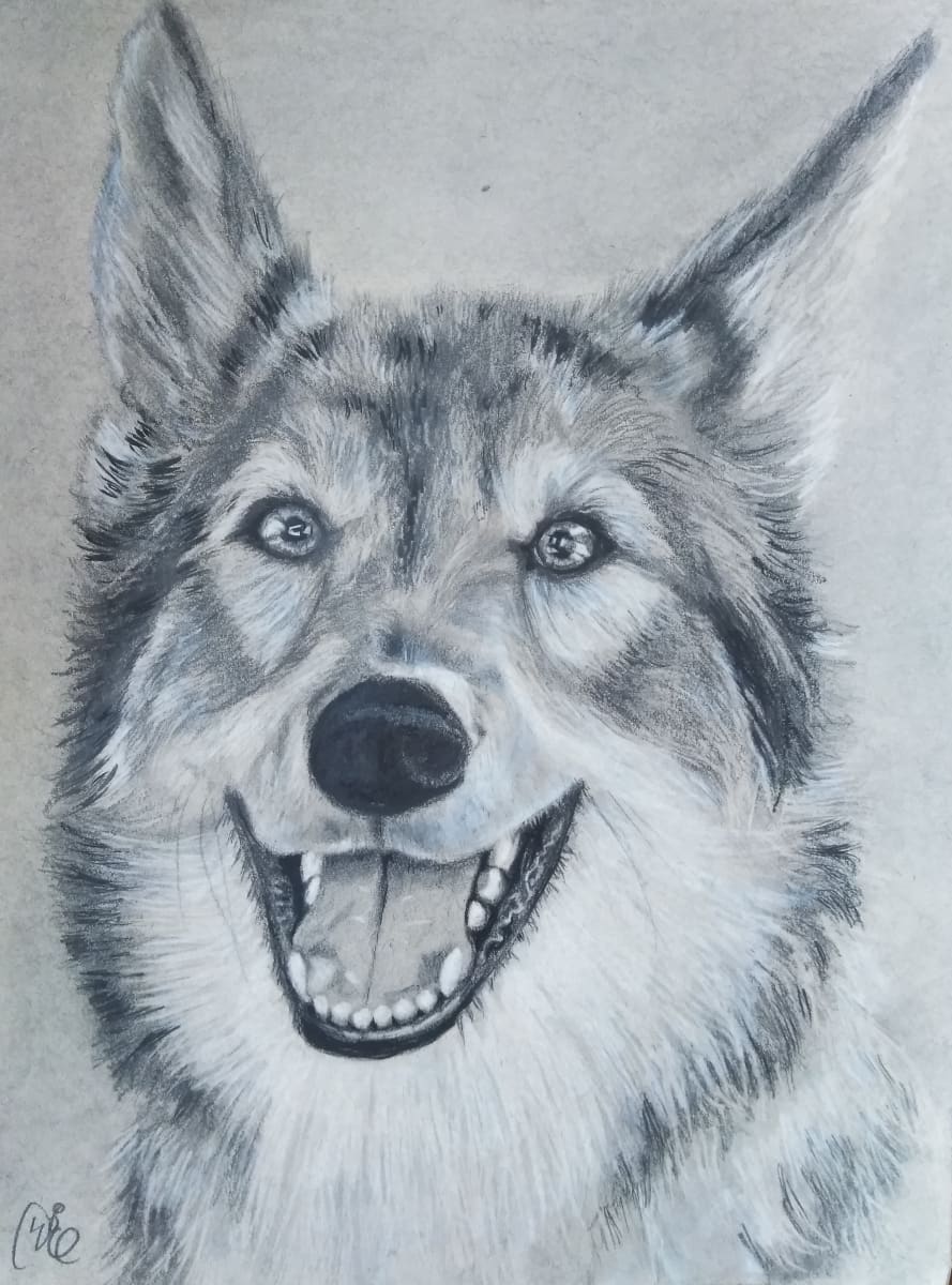 Athena by Donna Gonzalez  Image: My graphite drawing of my daughter's dog Athena.