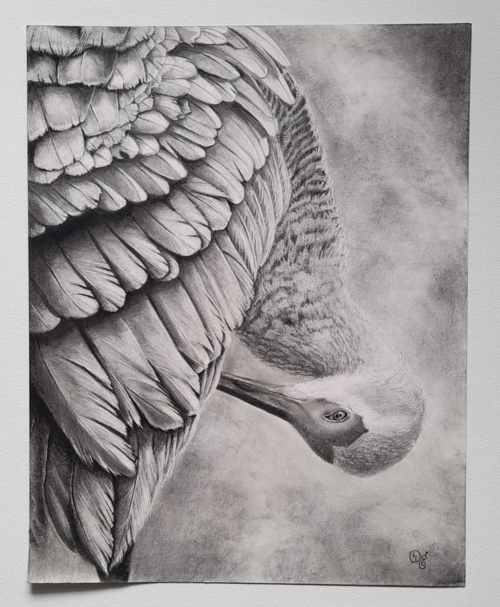Sandhill Crane by Donna Gonzalez, Image 2.