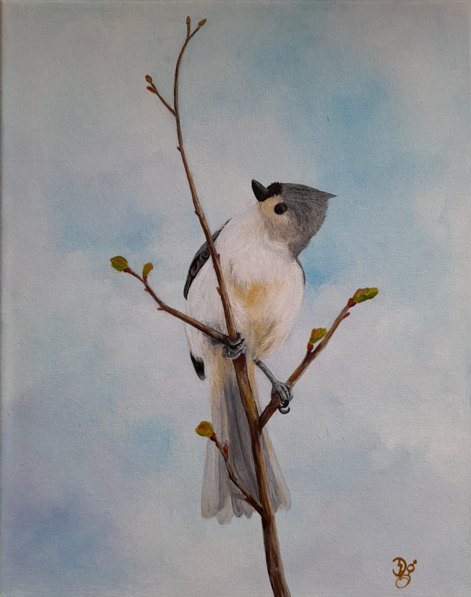 Tufted Titmouse by Donna Gonzalez 