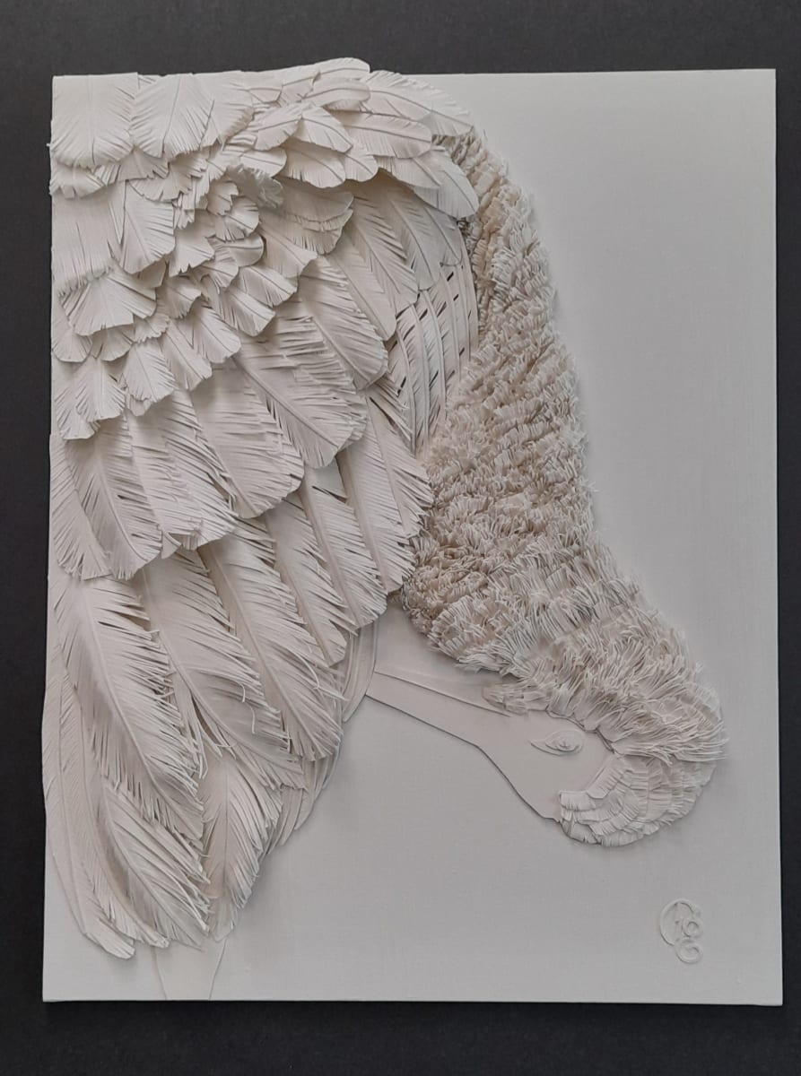 White Sandhill Crane by Donna Gonzalez 