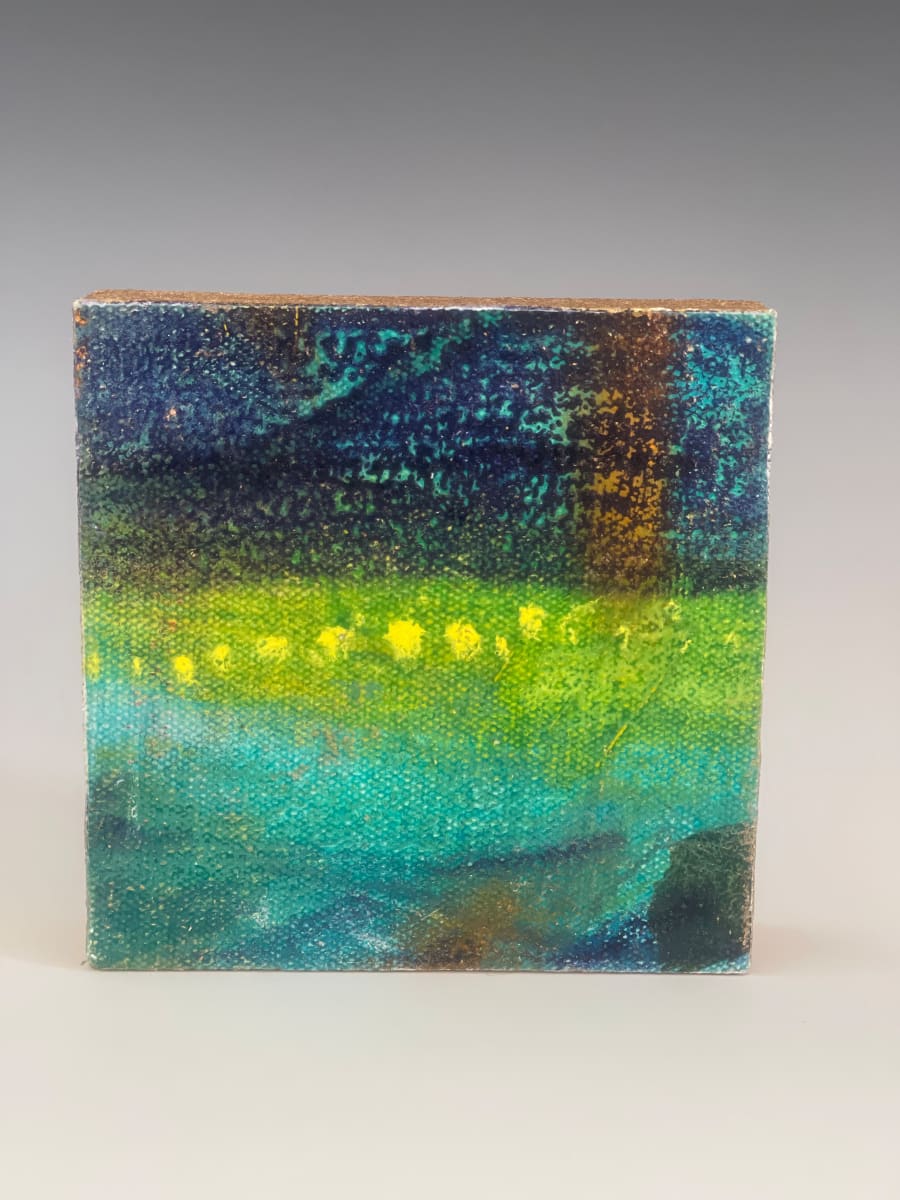 Coastline Lights by Barbara Mayfield 