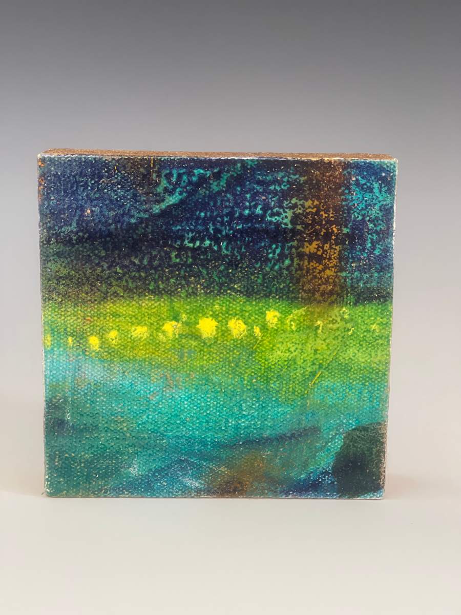 Coastline Lights by Barbara Mayfield, Image 37.