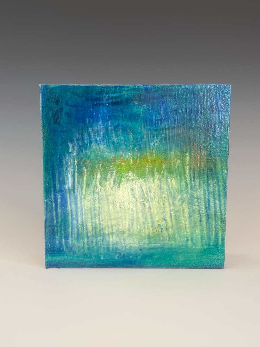 Land Light by Barbara Mayfield 