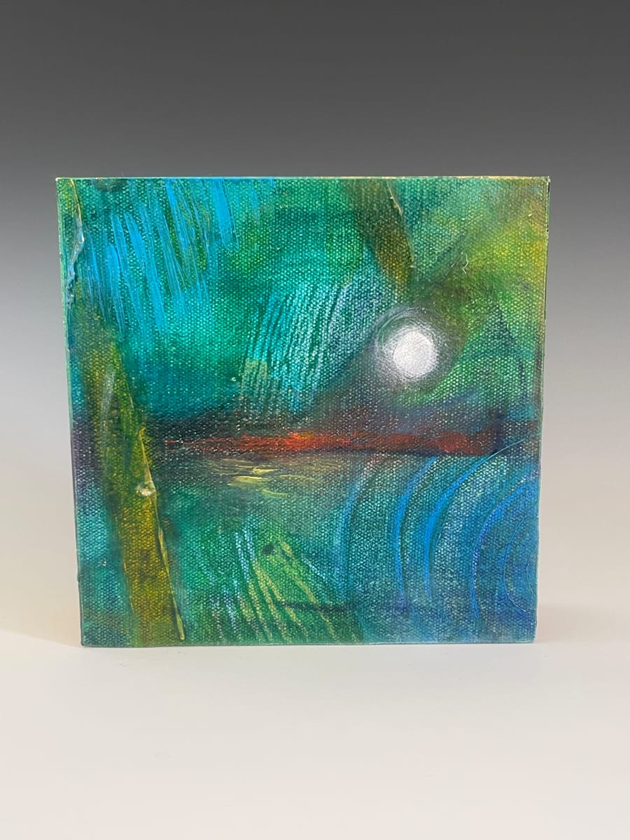 Moon over the Lagoon by Barbara Mayfield 