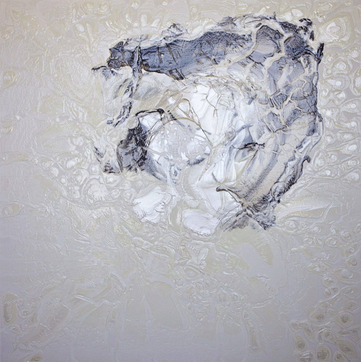 His Face by Sally Ko 