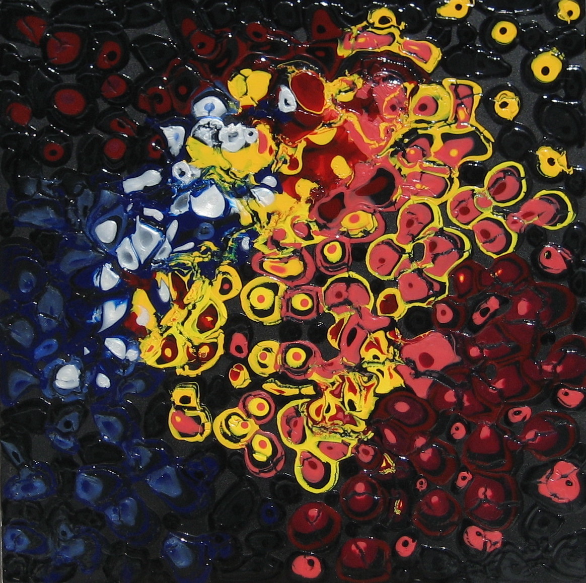 Evening Sun by Sally Ko 