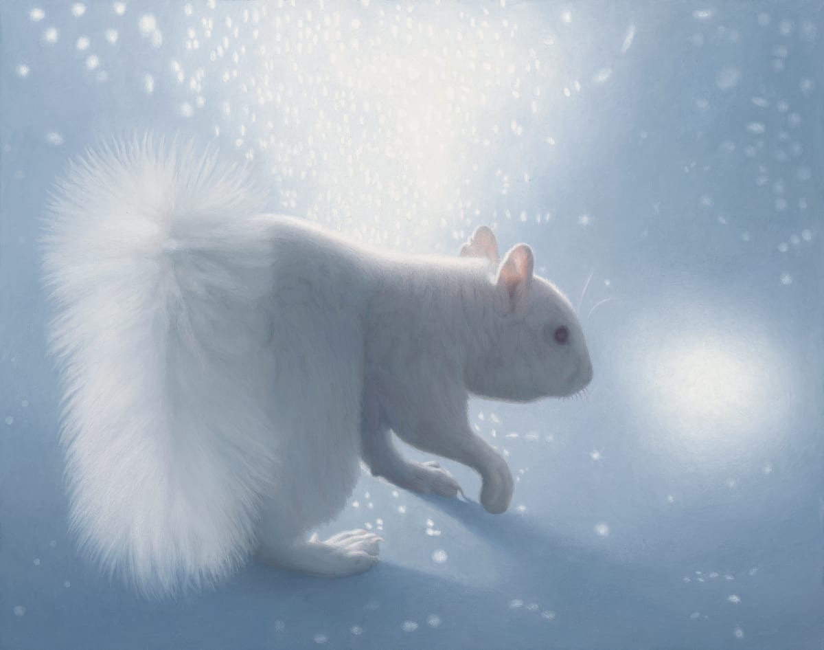 Polar Squirrel by Susan McDonnell 