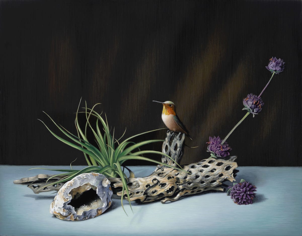 Cactus Skeleton and Hummingbird 